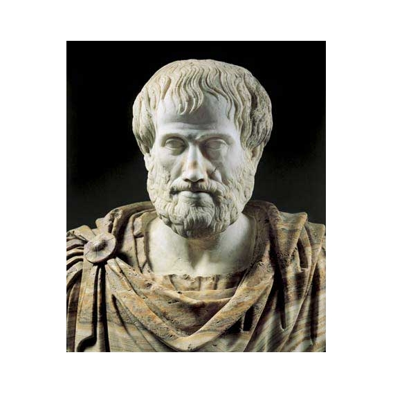 Aristoteles'in Kuramı ve Şekli Nedir ?