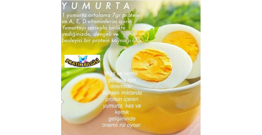 Yumurta'nın faydaları Nelerdir ? Yumurta daki Etken Maddeler Nedir ?